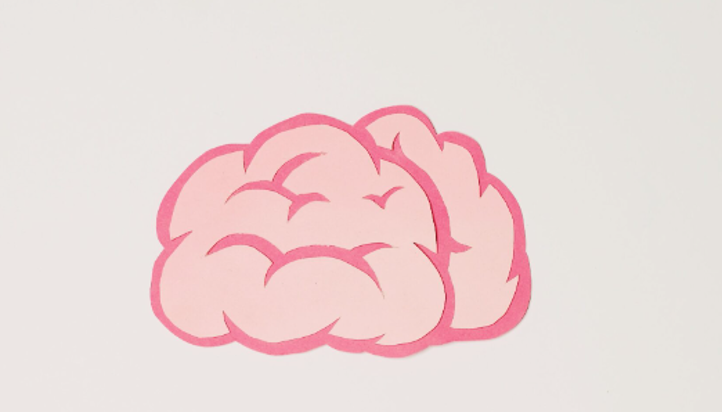 Bilde av en rosa hjerne. Bilde av en rosa hjerne.