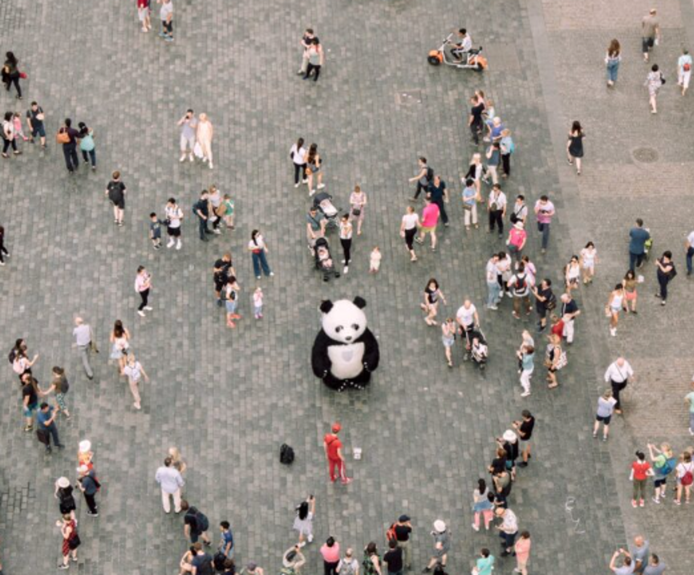 en stor gruppe mennesker som går rundt på et stort jorde, og en panda i midten