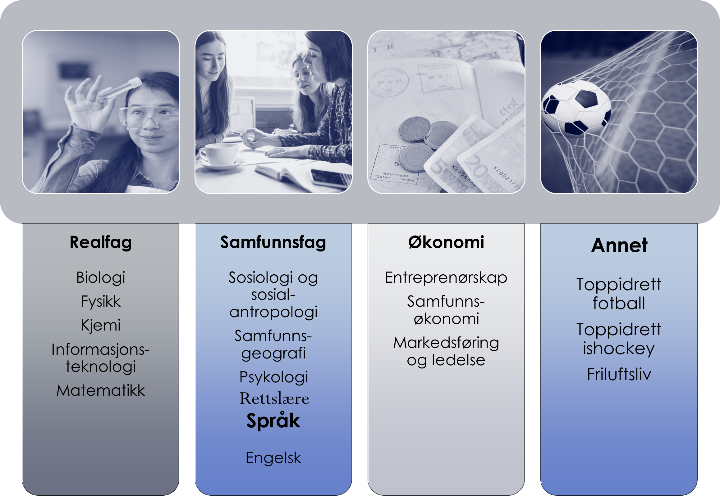 Hellerud programfag.png